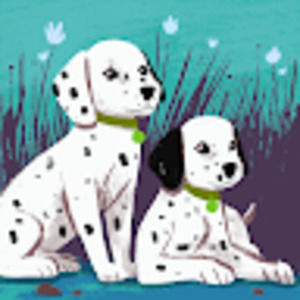 Meet your Posher, Ava